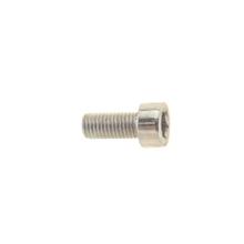 BOUTEN RVS INBUS M6X20 DS A 25 214208