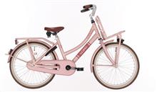 BIKE FUN FIETS 20" MEISJES LOAD REMNAAF MAHOGANY ROZE 20LMD515 MET VOOR EN ACHTERDRAGER